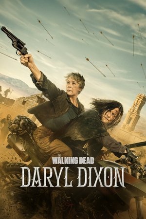 The Walking Dead: Daryl Dixon poster