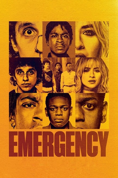 Emergency poster